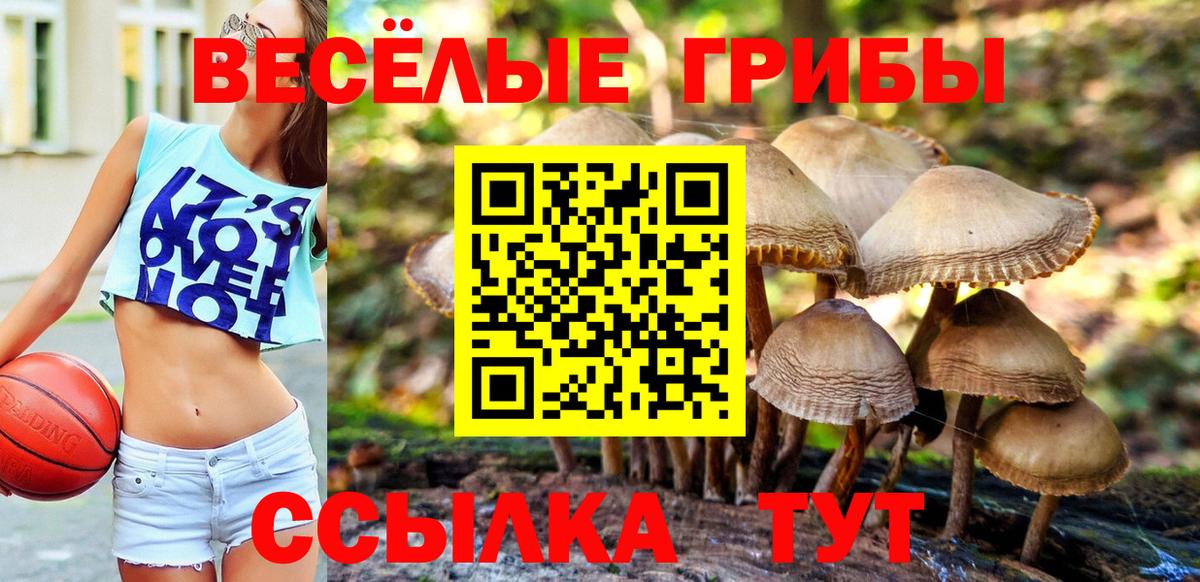 Галлюциногенные грибы ЛСД  Вход с VPN  Каменск-Уральский 